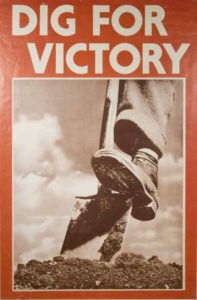 Dig for Victory Poster