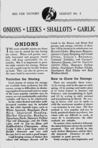 Onion Growing Guide