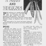 Peas Beans Growing Guide