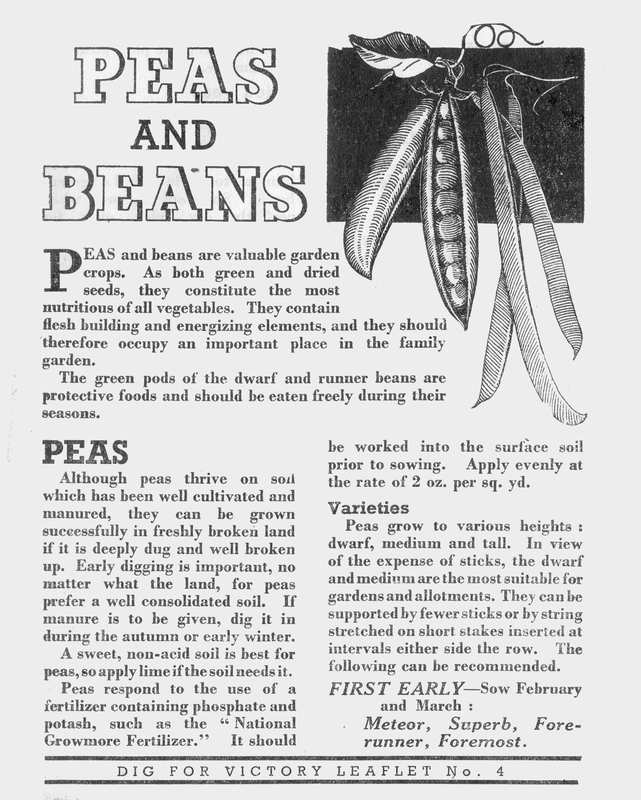 Peas Beans Growing Guide