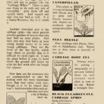 April 1945 Growing Guide P8