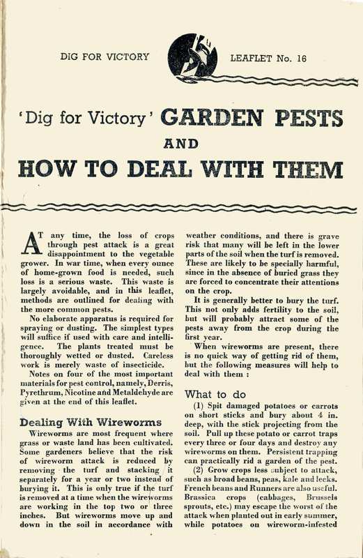 Garden Pests Guide