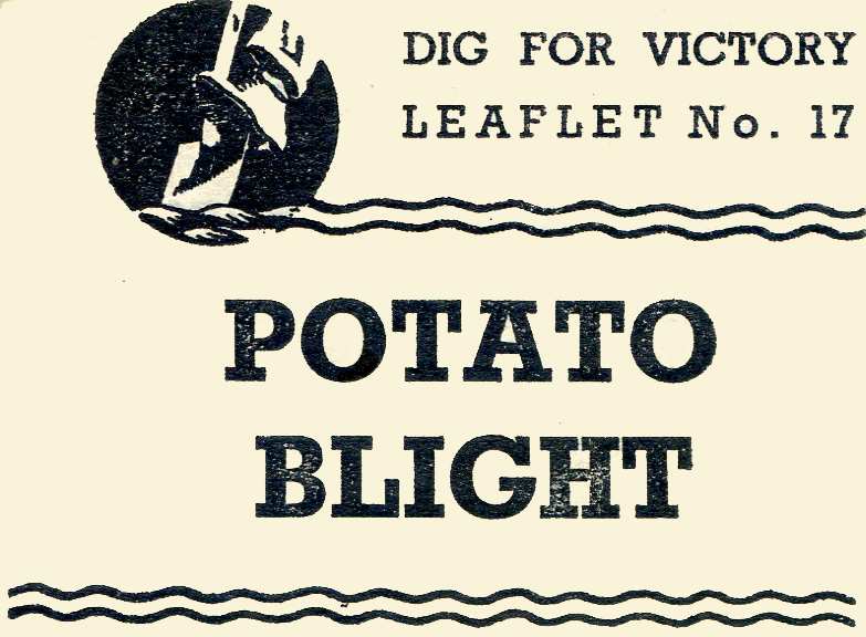 Potato Blight