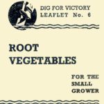 Root Vegetables for the Small Grower - DfV 6