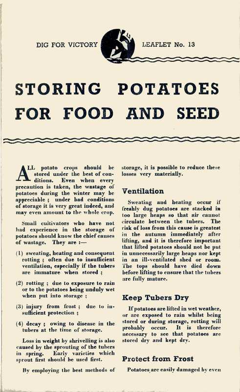 Storing Potatoes Guide