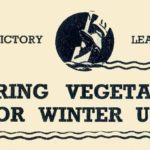 Storing Vegetables for Winter Use