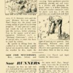 May 1945 Growing Guide P3