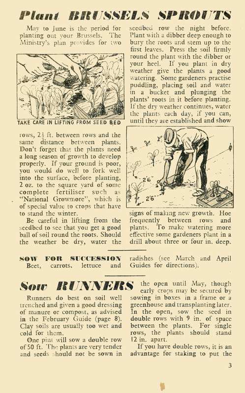 May 1945 Growing Guide P3