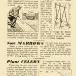 May 1945 Growing Guide P4