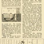 May 1945 Growing Guide P6
