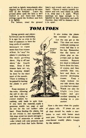 August 1945 Growing Guide P3