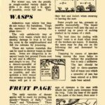 August 1945 Growing Guide P7
