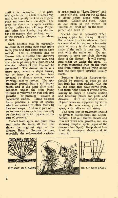 August 1945 Growing Guide P8