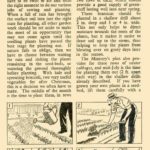 July 1945 Dig for Victory Guide P6