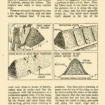 September 1945 Monthly Dig for Victory Guide P2