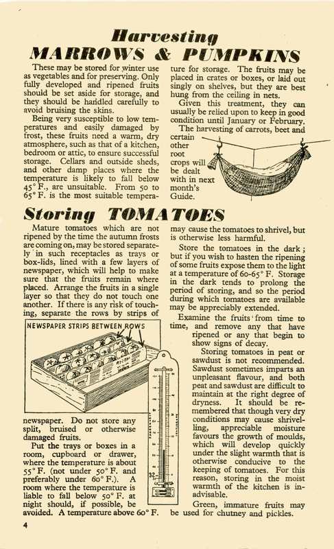 September 1945 Monthly Dig for Victory Guide P4