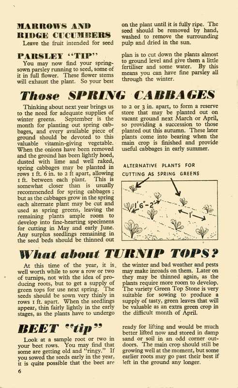 September 1945 Monthly Dig for Victory Guide P6