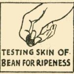 Testing Beans